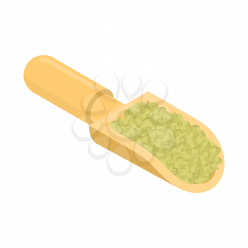Raw buckwheat in wooden scoop isolated. Groats in wood shovel. Grain on white background. Vector illustration
