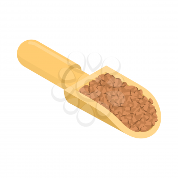 Buckwheat in wooden scoop isolated. Groats in wood shovel. Grain on white background. Vector illustration
