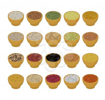 Groats in wooden bowl set. Rice and lentils. Red beans and peas. Corn and barley gritz. Millet and cuscus. Oat and buckwheat. Bulgur and wheat. Grain on white background. Vector illustration