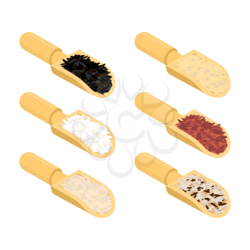 Rice in wooden scoop set. Parboiled and brown. Black and red. Basmati and wild rice. Groats in wood shovel. Grain on white background. Vector illustration