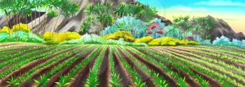 Digital painting of the Chinese rice fields in sunny summer day. Panorama