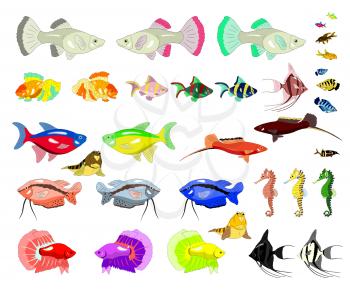 Set of Aquarium Fish separate images. Digital painting  full color cartoon style illustration isolated on white background.