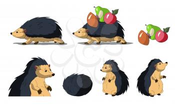 Set of Hedgehogs images. Digital painting  full color cartoon style illustration isolated on white background.