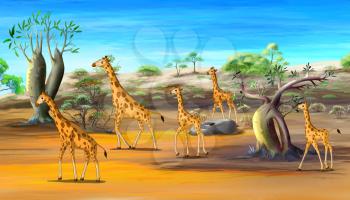 African Giraffes Family Walking at the Savannah. Digital painting  cartoon style full color illustration.