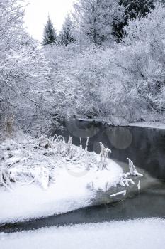 Winter landscape with Snowy Forest around the  Small River