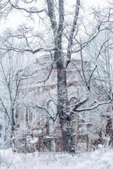 Winter landscape with the ruins of the old church and snow-covered trees