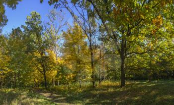Beautiful autumn trees in Sofiyivka park in the city of Uman, Ukraine