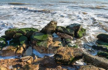 Stones covered with green algae on the Black Sea coast near the village of Fontanka, Ukraine