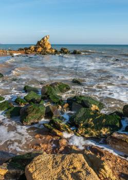 Stones covered with green algae on the Black Sea coast near the village of Fontanka, Ukraine