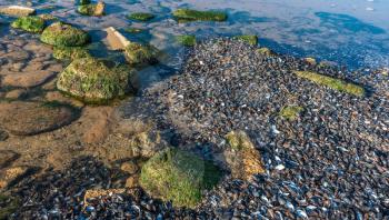 Sea coast dotted with mussel shells on the seashore near Odessa, Ukraine