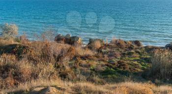 Deserted Black Sea Coast on a Fall Day
