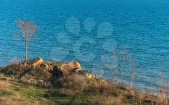 Deserted Black Sea Coast on a Fall Day