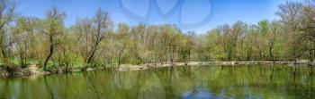 Lake in the reserve Askania-Nova in Ukraine in a sunny spring day