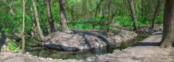 Creek in the territory of Askania-Nova reserve in Ukraine on a sunny spring day