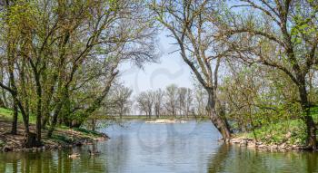Lake in the reserve Askania-Nova in Ukraine on a sunny spring day