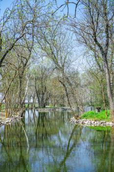 Lake in the reserve Askania-Nova in Ukraine on a sunny spring day