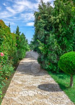 Ravadinovo, Bulgaria – 07.11.2019.  Path in the park of the castle Ravadinovo, on a sunny summer day