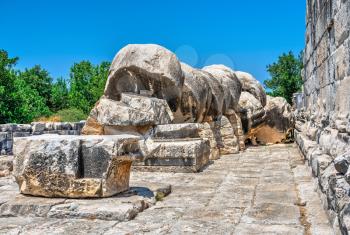 Column drums fallen by an earthquake, Temple of Apollo, Didyma, Turkey, on a sunny summer day