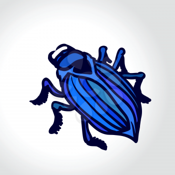 Ground beetle. Colorful vector drawing of big blue beetle. Insect isolated on the white background. 