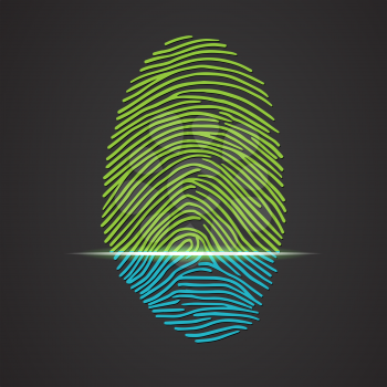 Fingerprint identification with whorls. Vector illustration isolated on black background, eps 10.
