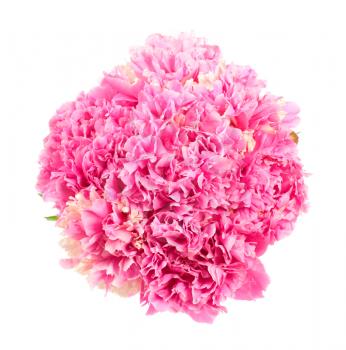 Bouquet of pink peonies isolated on white background