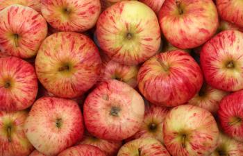 Ripe red apples for background