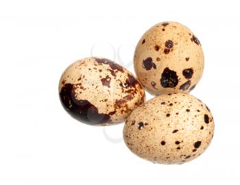 Three quail eggs isolated on white background