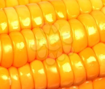 Closeup view of corn for background