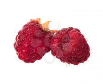 Red raspberries isolated on white background
