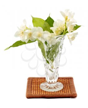 Jasmine in the crystal vase isolated on white background