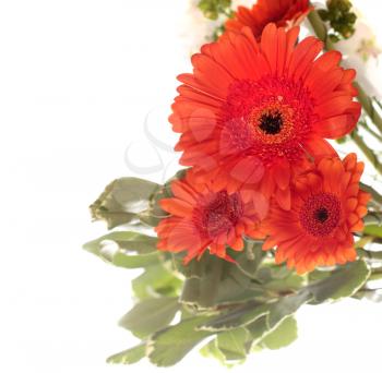 Bouquet with gerberas isolated on white background