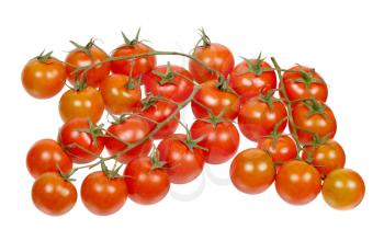 Branches of cherry tomatoes isolated on white background