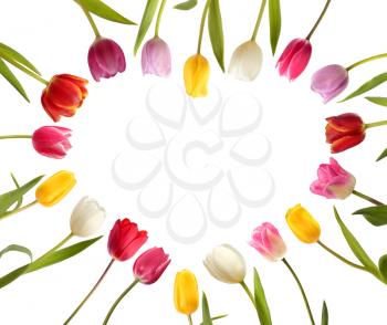 Different color  tulips in the form of heart isolated on white background