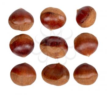Fresh chestnuts isolated on white background 