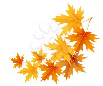 Autumn leaves background. Vector illustration EPS 10