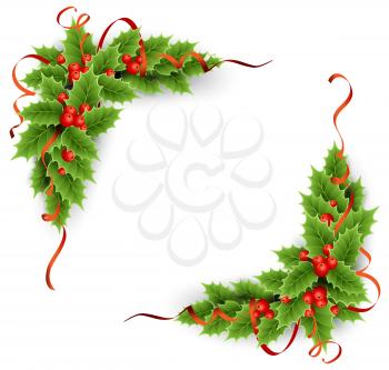 Vector evergreen holly with berries. Christmas decoration