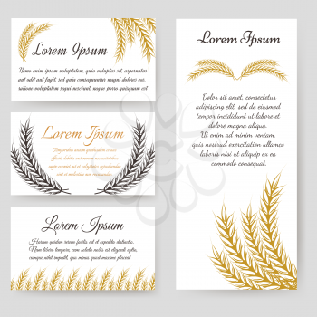 Personal card and flyer harvest design with wheat branches. Vector illustration