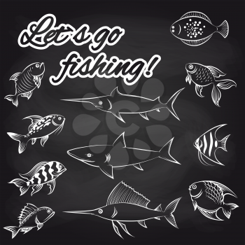 White hand drawn fish on chalkboard and text Lets go fishing. Vector illustration