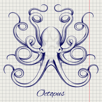 Hand drawn octopus vector. Ball pen imitation sketch