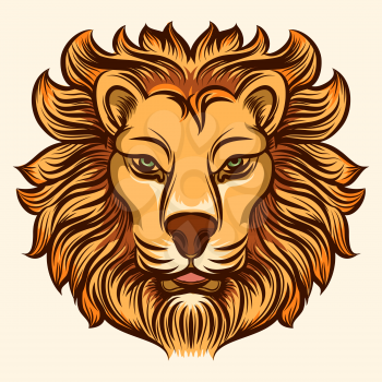 Lion head detailed icon. Lion colored head vector illustration