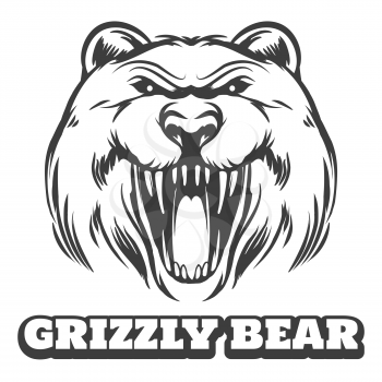 Bear head logo. Grizzly bear icon with logo. Vector illustration