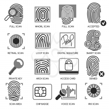 Information security icons. Vector information technology protection icons