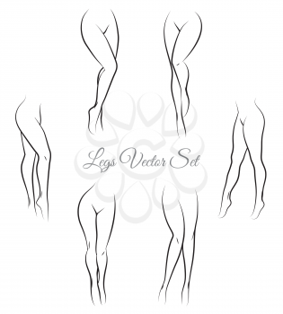 Woman legs. Female hand drawn sketch sexy for packaging and labels. Vector illustration