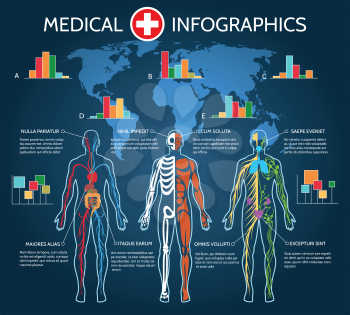 Human Body Anatomy Medical Infographic vector illustration