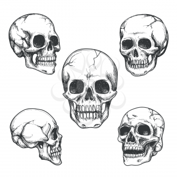 Hand drawn skulls. Blackicons on white background. Vector Illustrations set