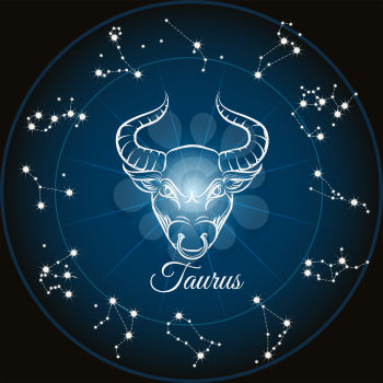 Zodiac sign taurus and circle constellations. Vector illustration