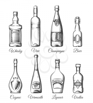 Alcohol bottles in hand drawn style. Beverage vector sketches