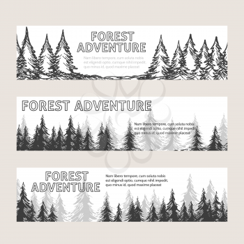 Monochromic horizontal banners with pine forest and text forest adventure. Vector illustration