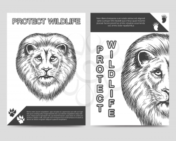 Protect nature brochure flyer template with lion and lion footprints A5foramt. Vector illustration