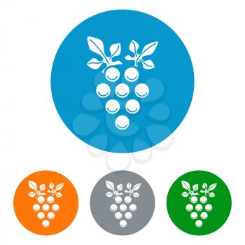 Wine brunch flat icons set in colorful circles. Vine with grapes vector illustration